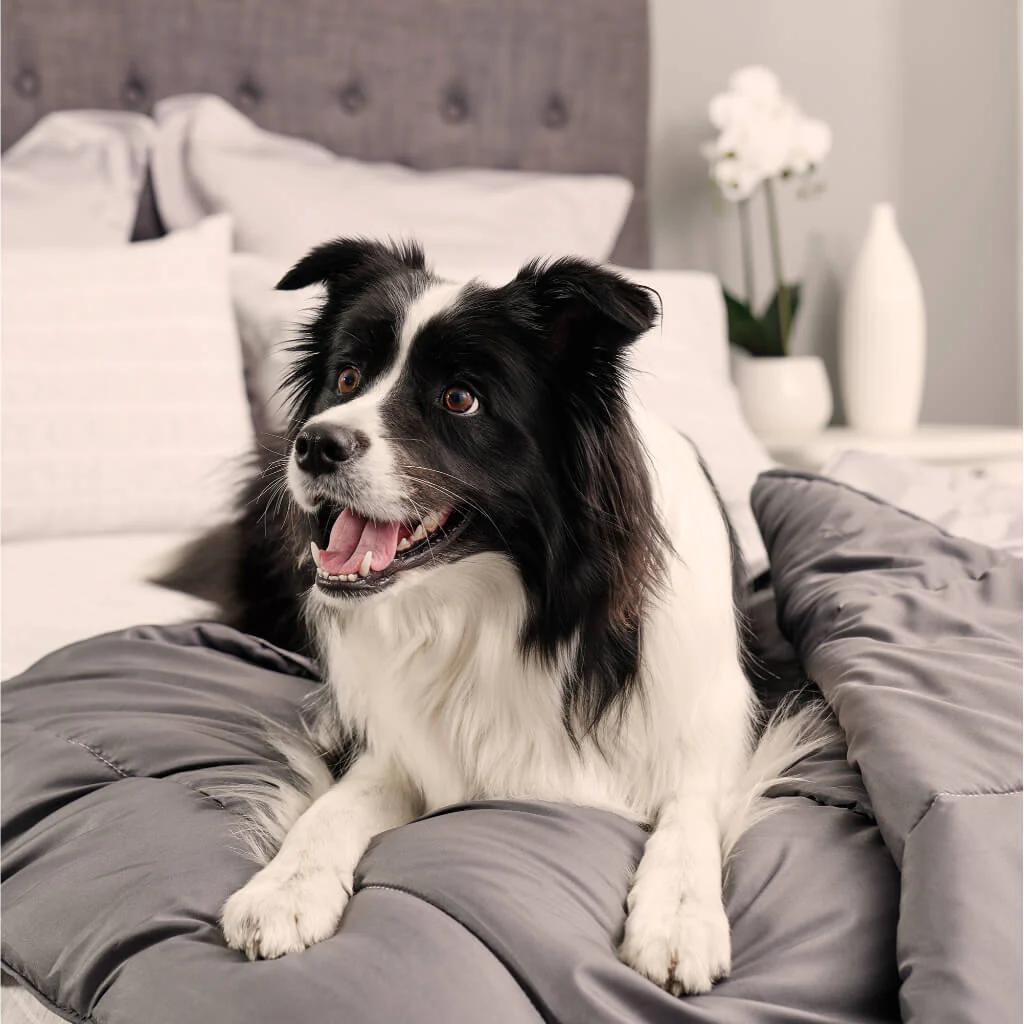 Doggy Doona® - Image 4