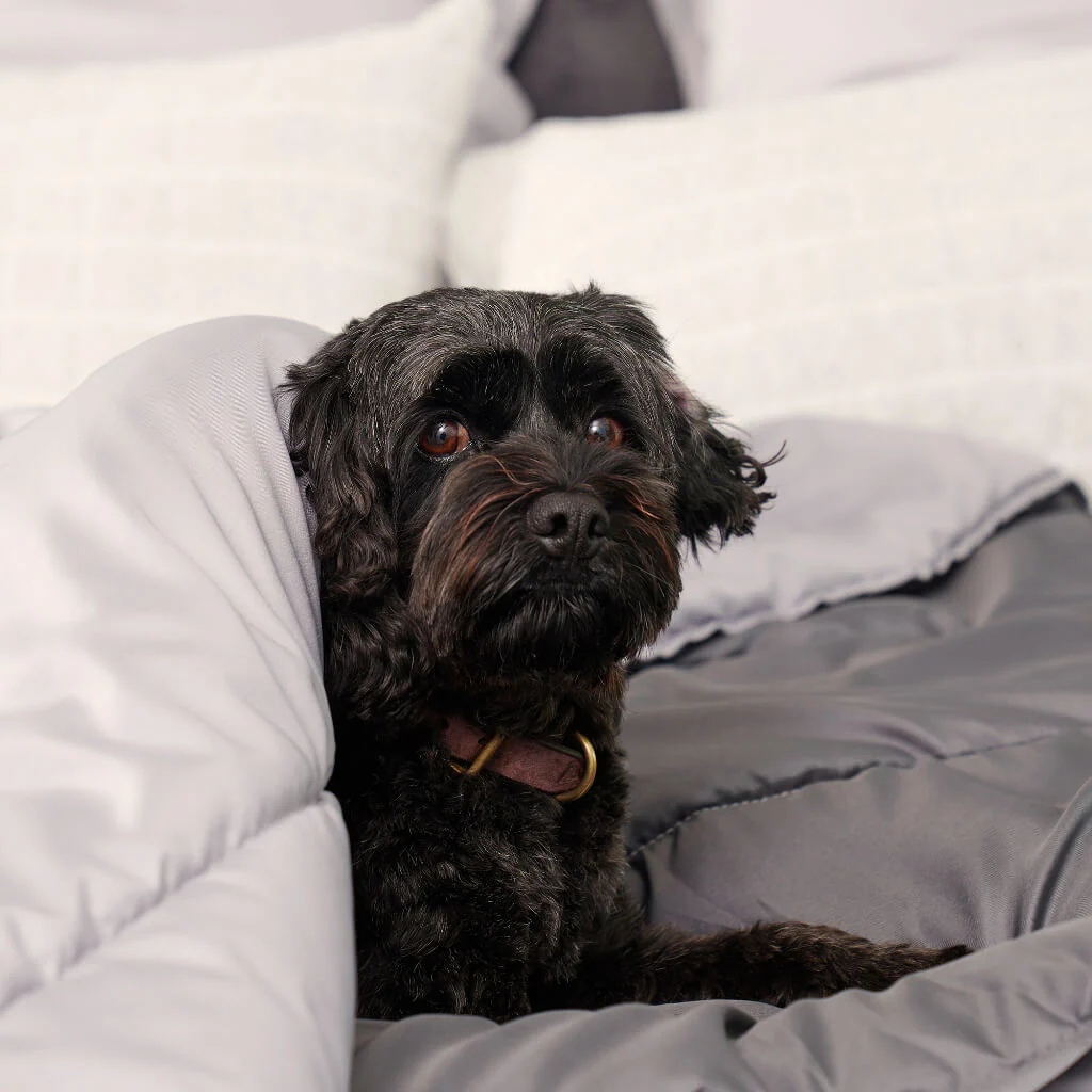 Doggy Doona® - Image 6