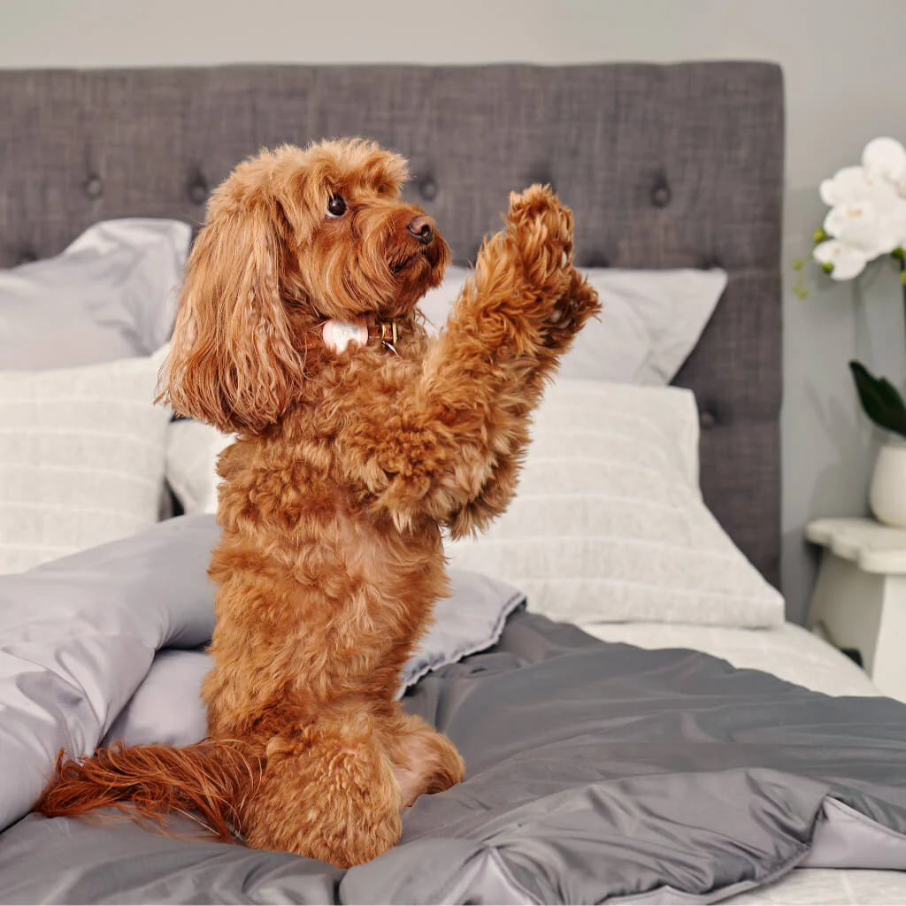 Doggy Doona® - Image 7